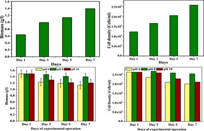 How i can estimate algae 2025 total lipid